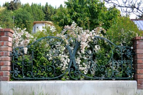 Forged Iron Garden Railing