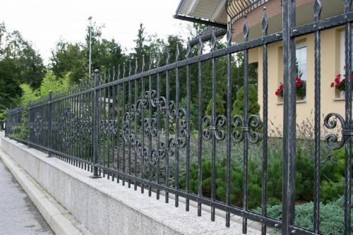 Forged Iron Railings