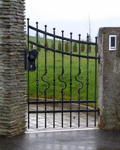 Forged Steel Doors